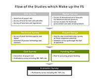 Flow of the Studies which Make up the FS
