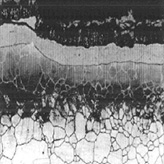 Carburizing in Heat Exchanger's Pass Partition Plate (SUS304) (Affected Layer due to Carbon Migration)