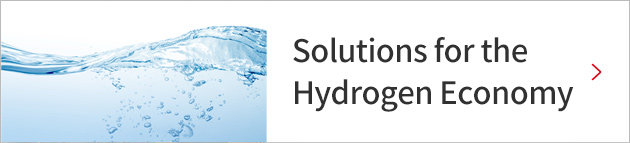 Solutions for the Hydrogen Economy