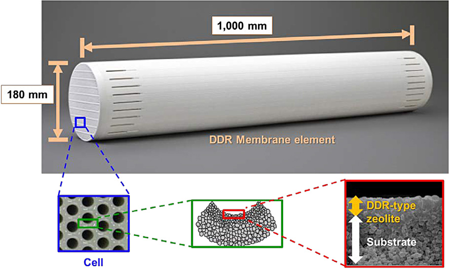 DDR Membrane Element