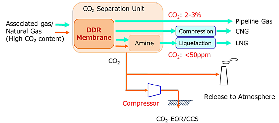 DDR Membrane Process Application