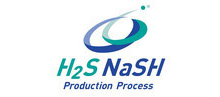 H2S NaSH