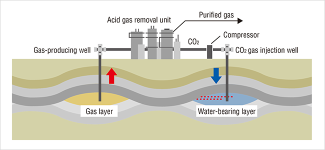 CCS Schematic