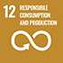 12 RESPONSIBLE CONSUMPTION AND PRODUCTION