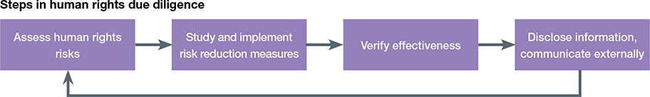 Steps in human rights due diligence