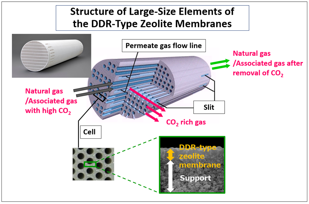 Structure of Large-Size Elements of the DDR-Type Zeolite Membranes