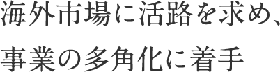 海外市場に活路を求め、事業の多角化に着手