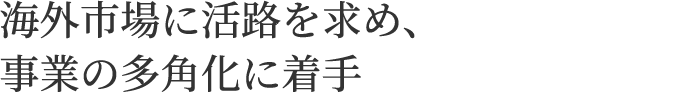 海外市場に活路を求め、事業の多角化に着手