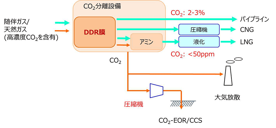 DDR膜プロセスのアプリケーション